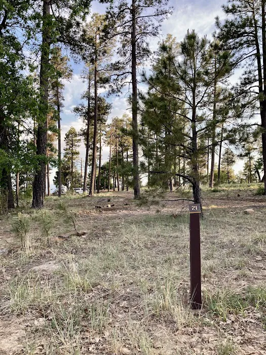 Campsite #21 2
