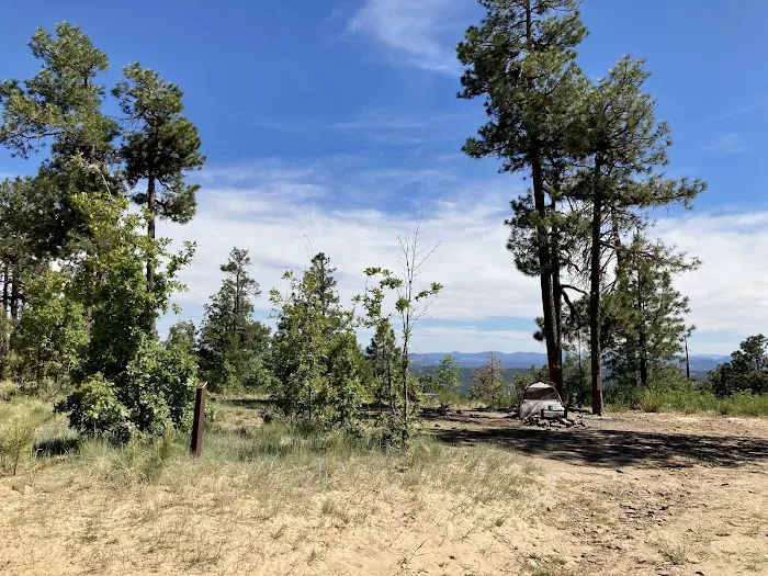 Campsite #19 1