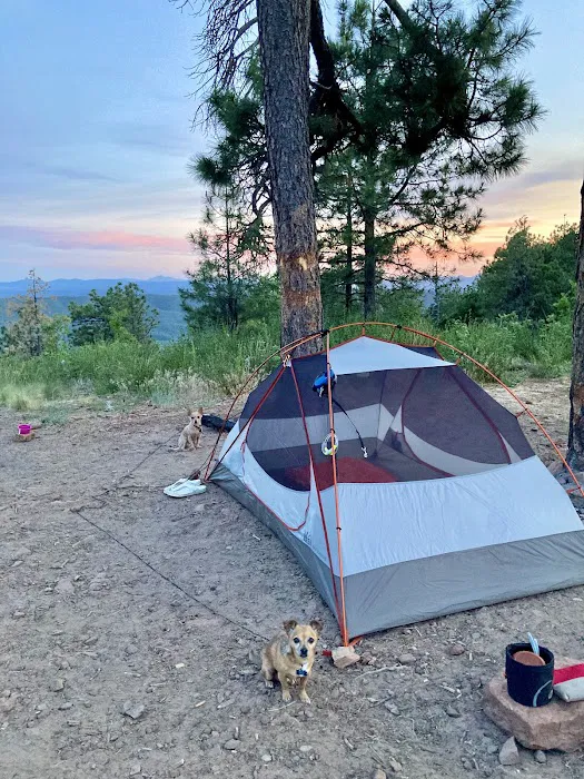 Campsite #19 6