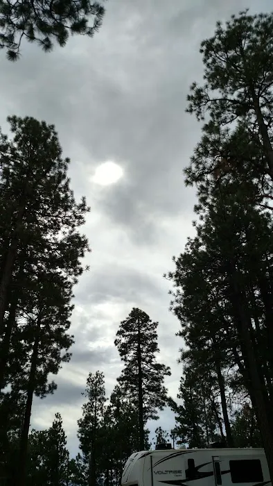 Fr 9350 Campground 7