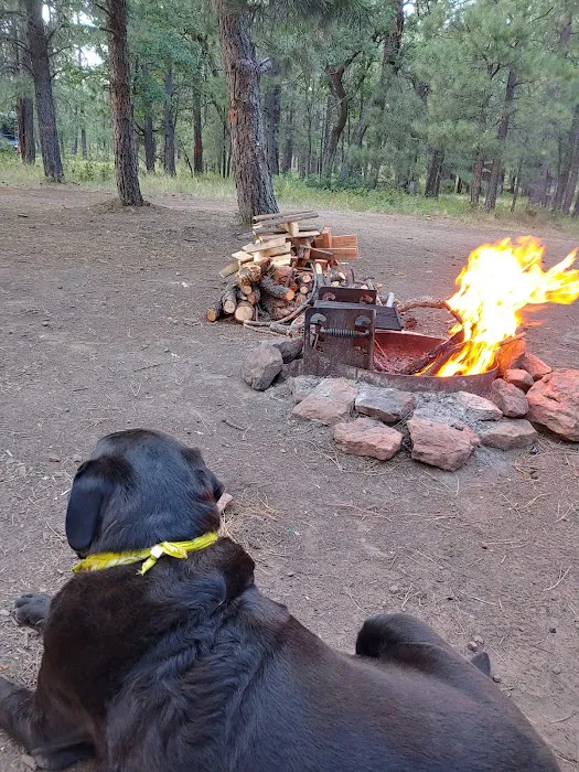 Fr 9350 Campground 6