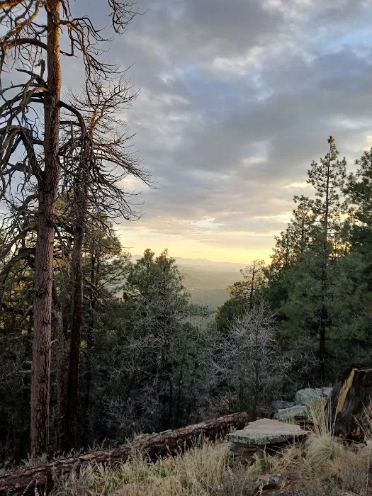 Campsite #11 0