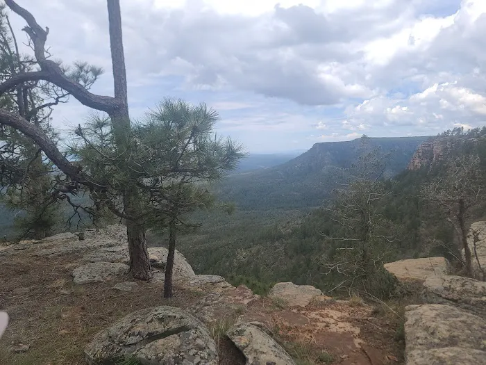Campsite #7 3