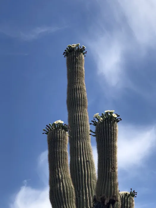 Skyline Park 2