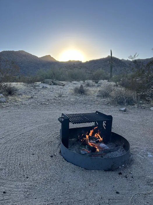 Willow Campground 7