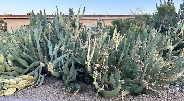 Saguaro Skies Famcamp 7