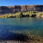 8750 Peter D McIntyre Ave