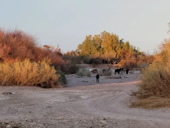 Site of Old Taylor Ferry 3