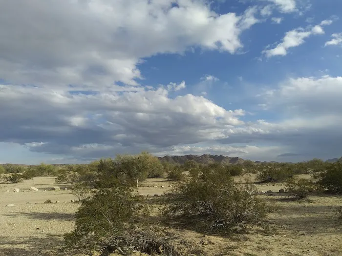 Wiley's Well Campground 1