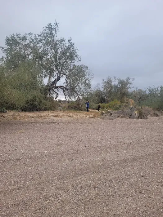 Wiley's Well Campground 2