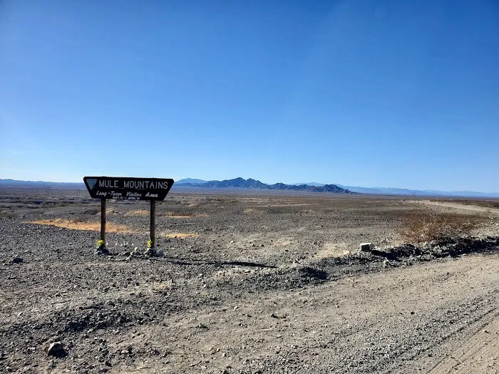 Wiley's Well Campground 9