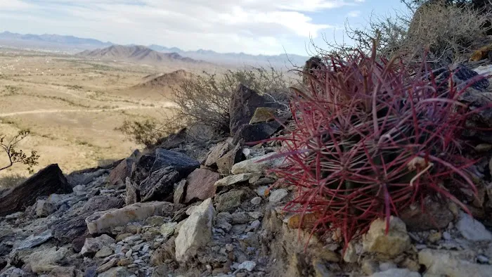 Dome Rock Upper Campsite 8