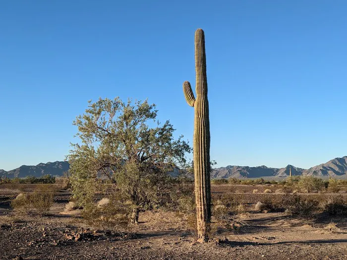Road Runner 14-day Camping Area 1