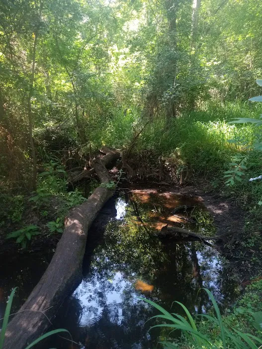 Brownville campground 5