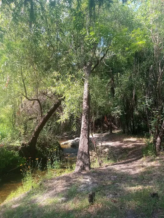 Brownville campground 8