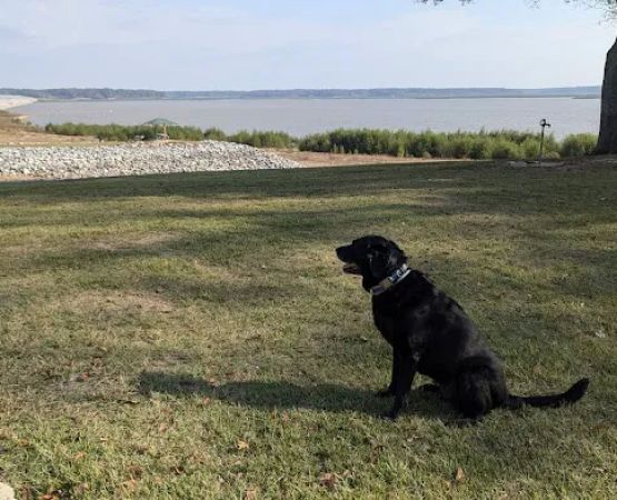 Dub Patton Recreation Area