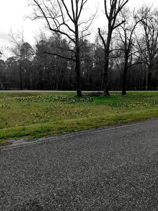 Lake Sardis Campground 0