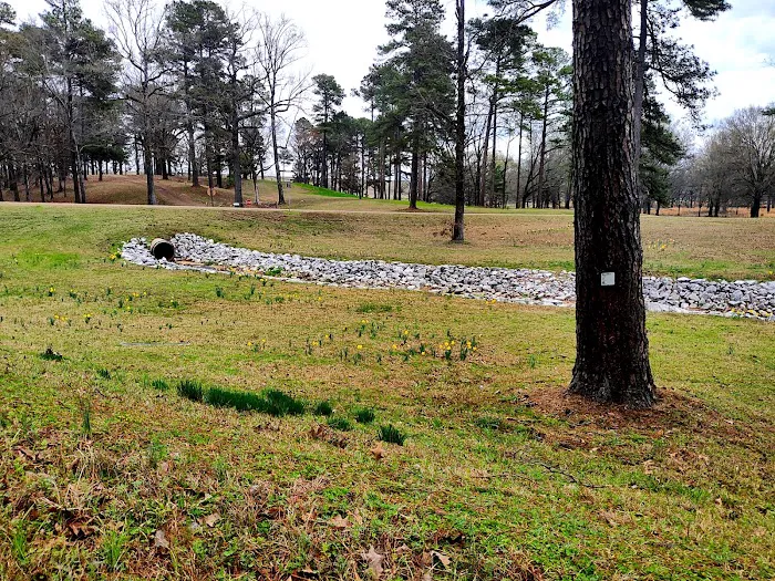 Lake Sardis Campground 1