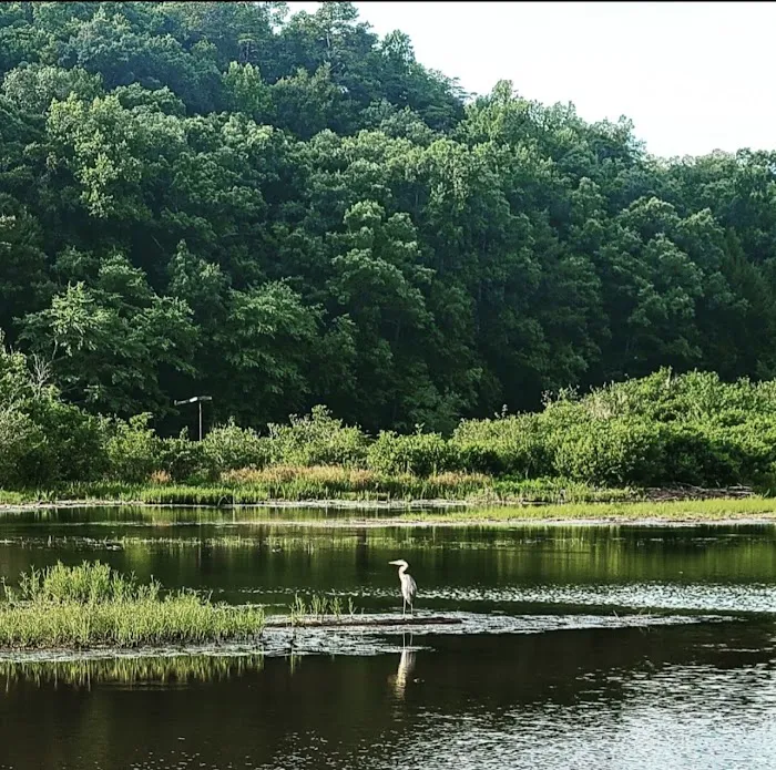 Brushy Lake Recreation Area 1