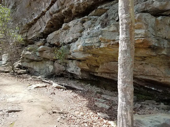Brushy Lake Recreation Area 2