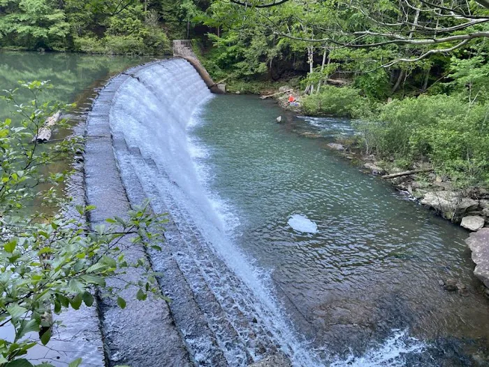 Brushy Lake Recreation Area 3