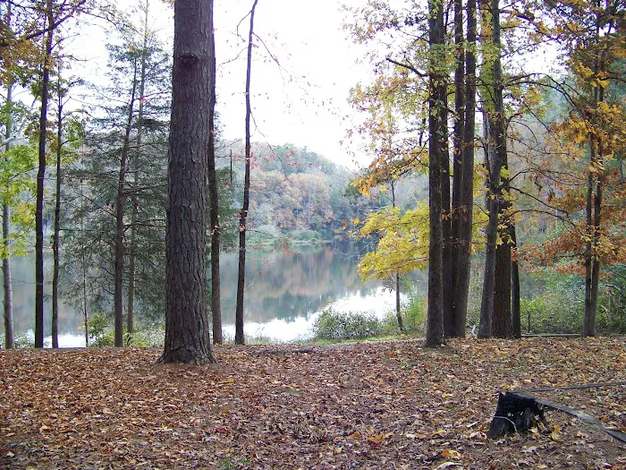 Brushy Lake Recreation Area 4