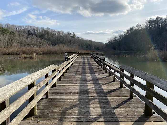 Brushy Lake Recreation Area 8