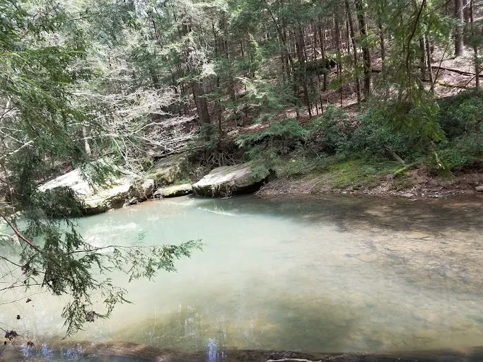 Brushy Lake Recreation Area 9