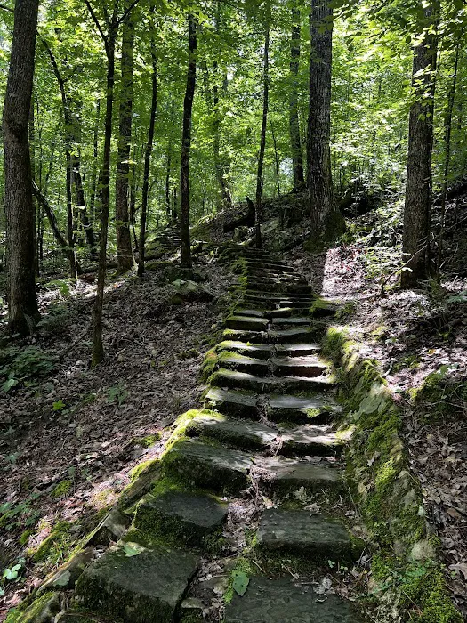 Tishomingo State Park Campground 6