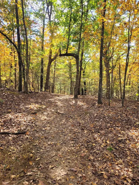 Tishomingo State Park Campground 9