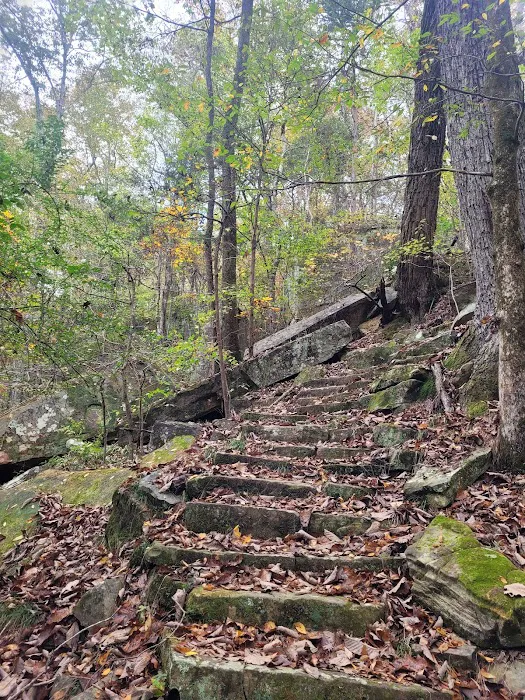 Tishomingo State Park Campground 8