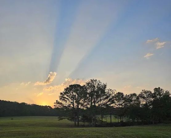 Glenhaven Private Campground