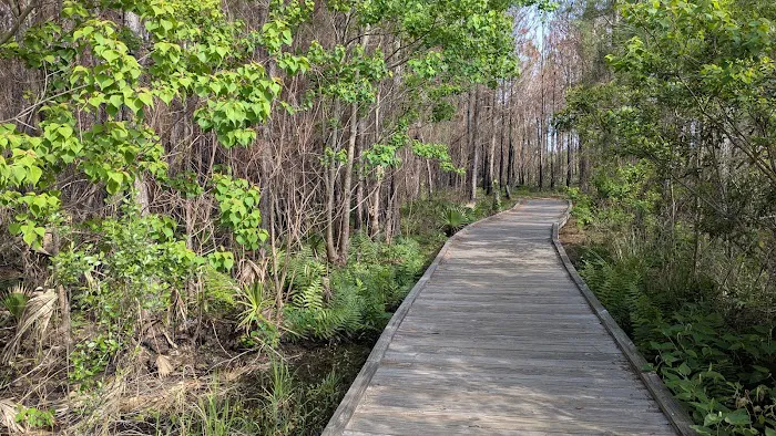 Dauphin Island Campground 1