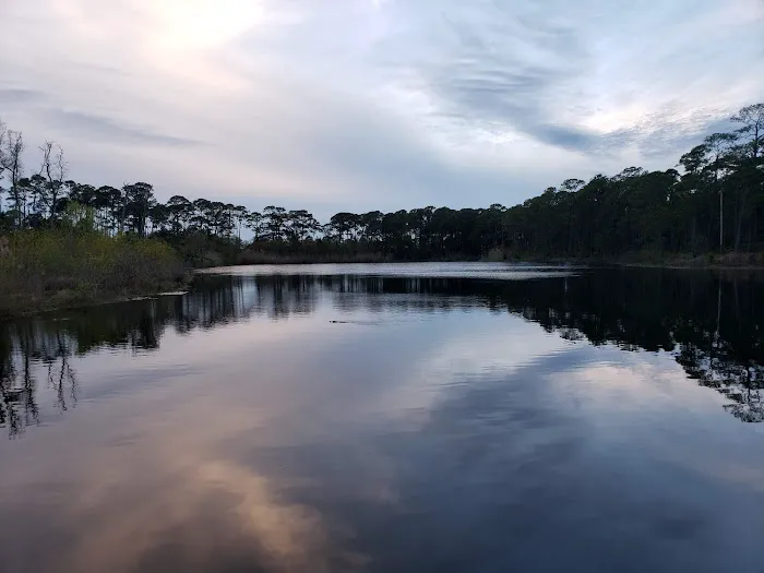 Dauphin Island Campground 8