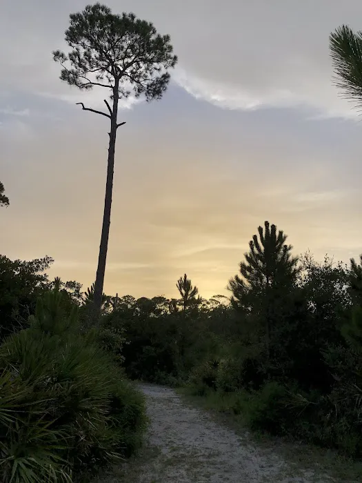 Dauphin Island Campground 7