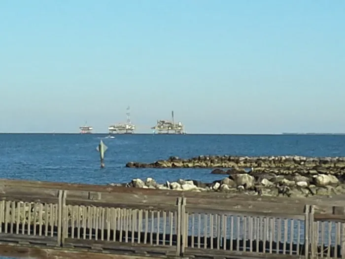 Dauphin Island Campground 6