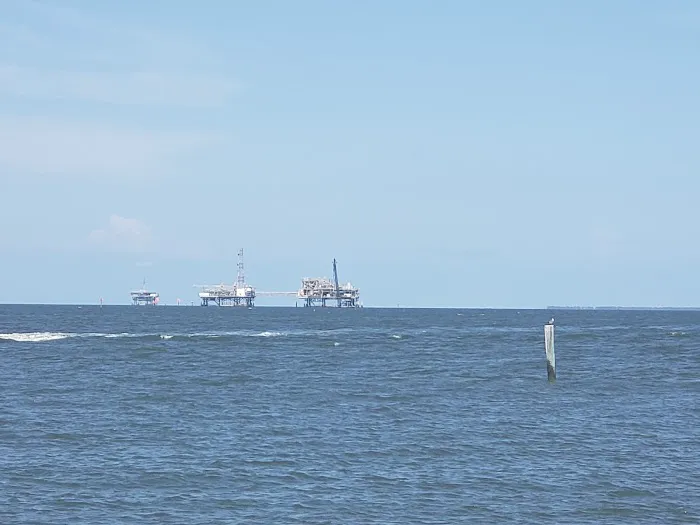 Dauphin Island Campground 9