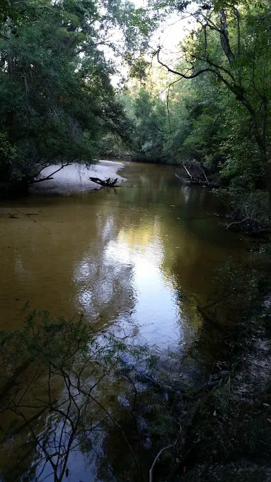 Camp Huck-a-Berry 2