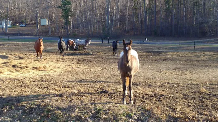 Black River Traditions, LLC 3