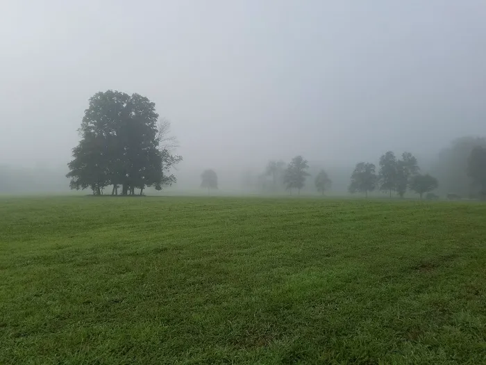 Camp Lewallen 9