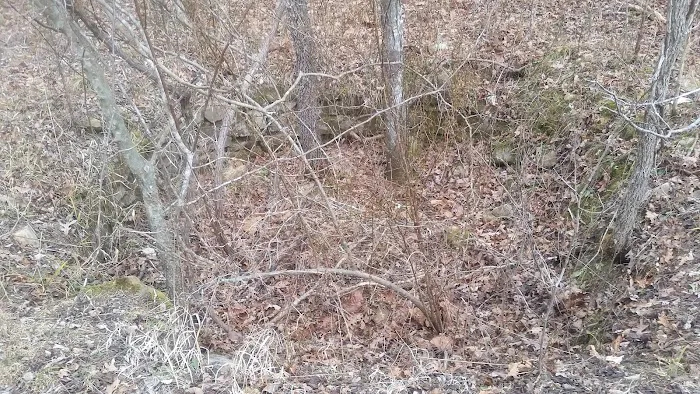 Little Scotia Campground 9