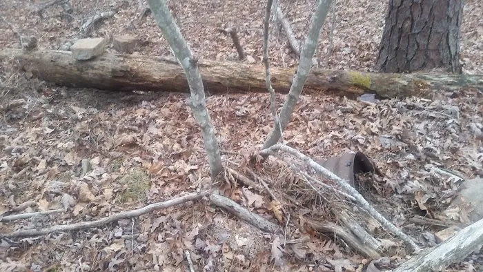 Little Scotia Campground 8