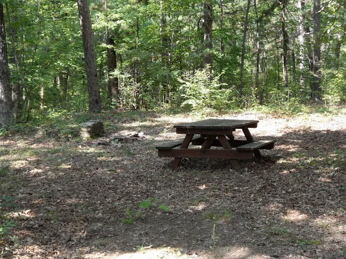 Little Scotia Campground 7