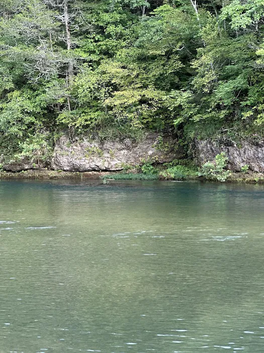 Jerktail Landing Campground 1