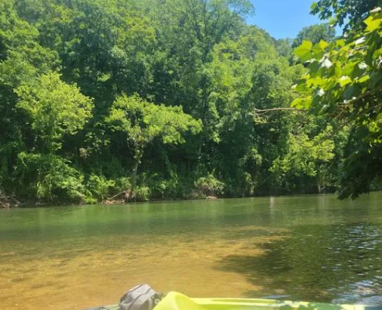 Jerktail Landing Campground