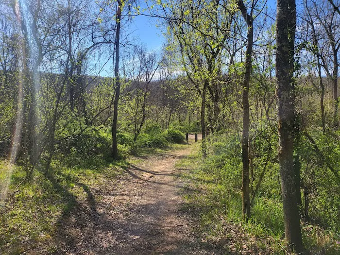 Jerktail Landing Campground 4