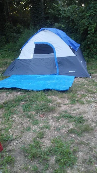 Jerktail Landing Campground 7