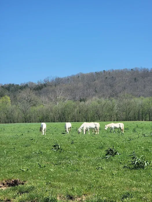 Shawnee Creek Campground 1