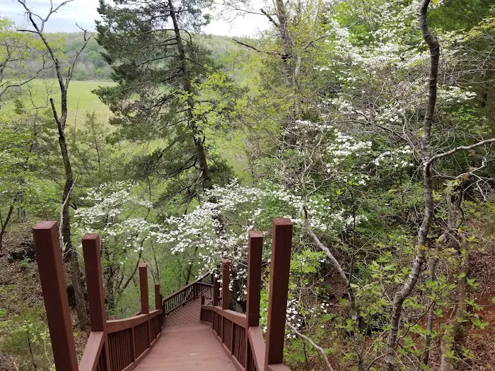 Robinson Bluff Climbing Area 3