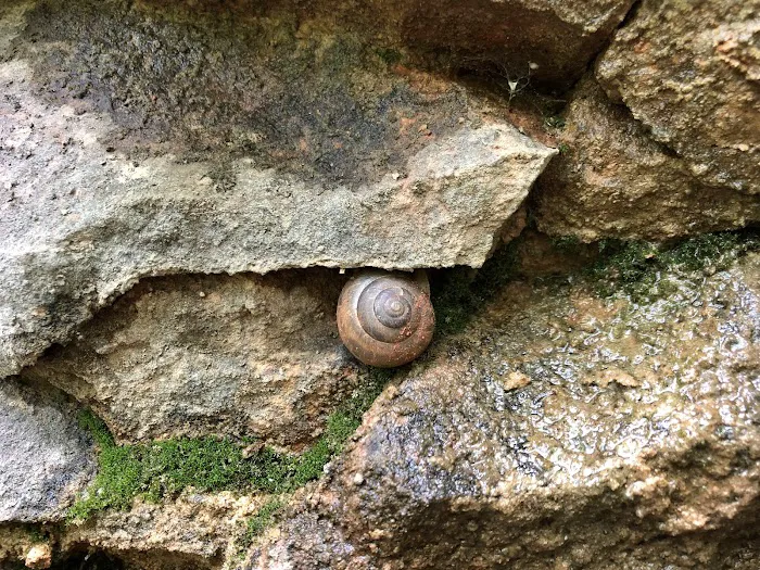 Robinson Bluff Climbing Area 6